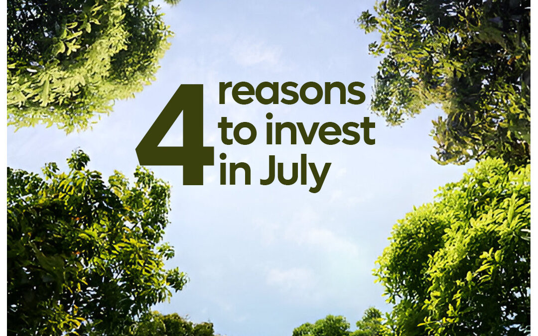 4 reasons why July is the best time to invest.